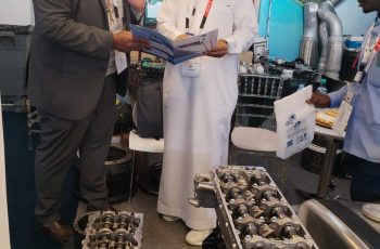 07d8d424-70d5-40de-aad5-47c234fdab5f